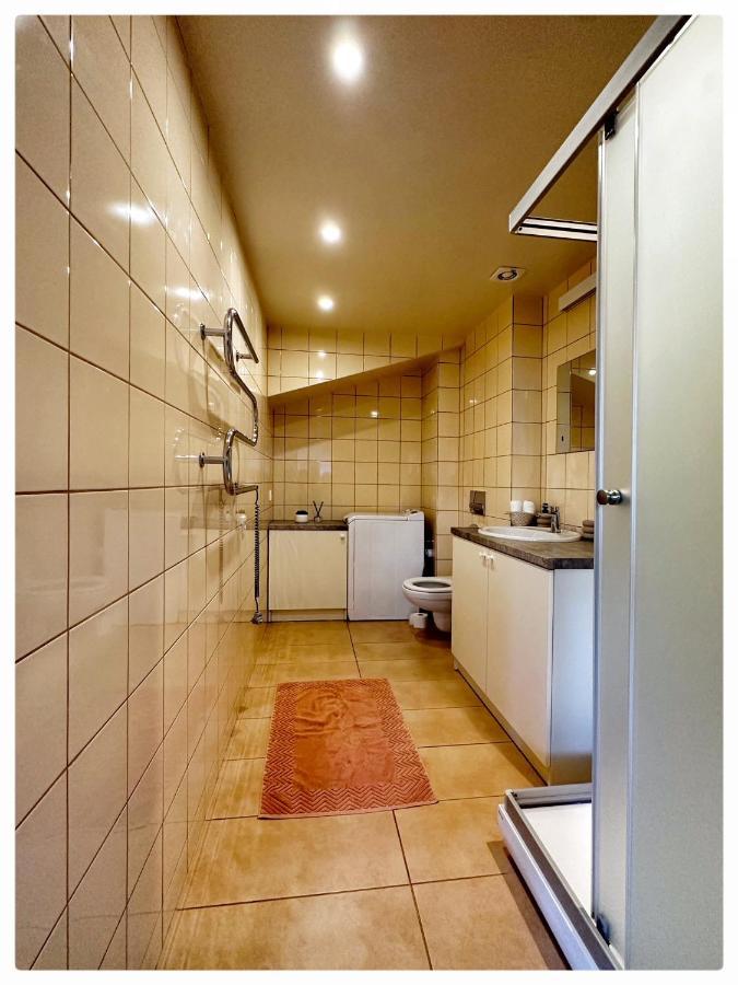 Apartaments In The City Centre Kaunas Bagian luar foto