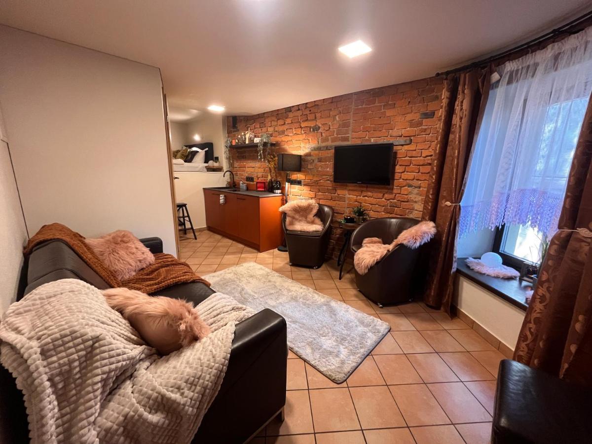 Apartaments In The City Centre Kaunas Bagian luar foto